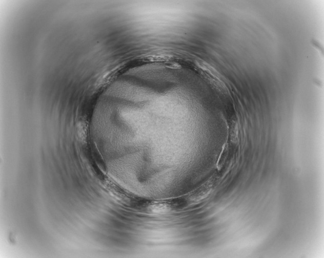 X0000093250604200710241316