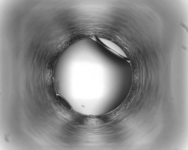 X0000093250605200710241316