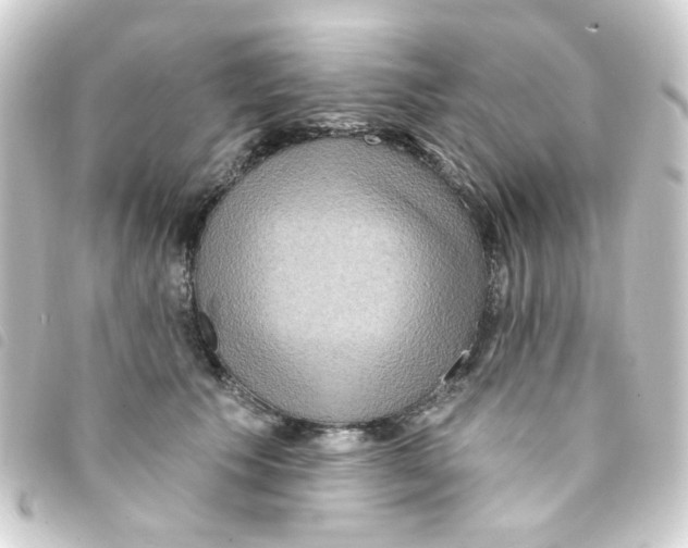 X0000093250609200710241316