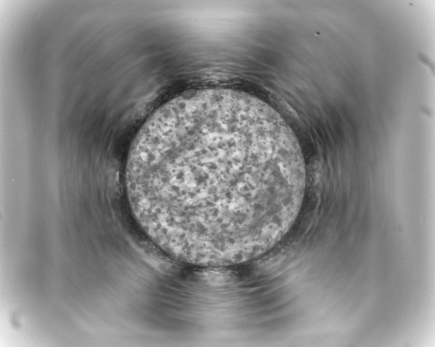 X0000093250615200710241315
