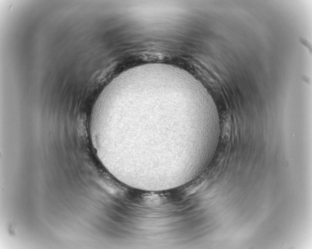 X0000093250616200710241315