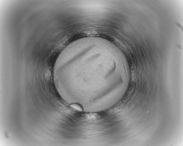 X0000093250618200710241315