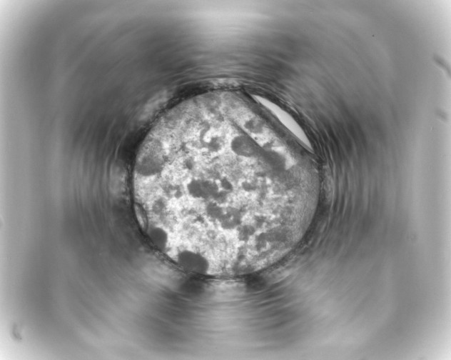 X0000093250619200710241315