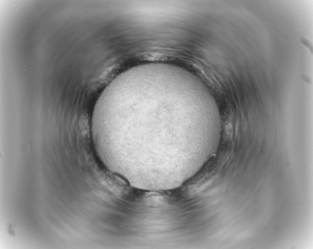 X0000093250620200710241315