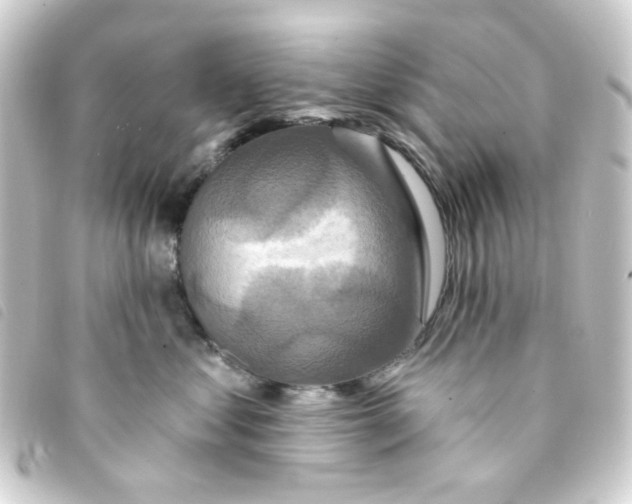 X0000093250621200710241315