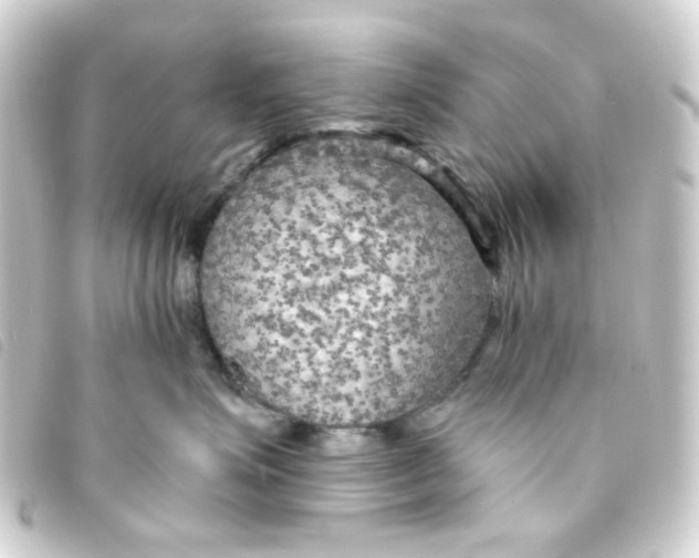 X0000093250623200710241315