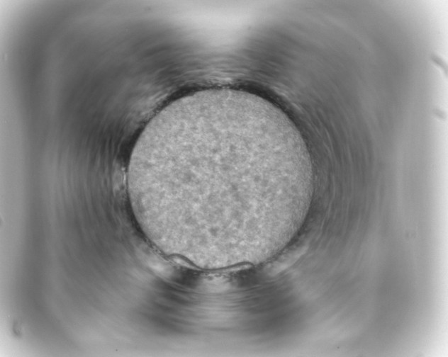 X0000093250624200710241315