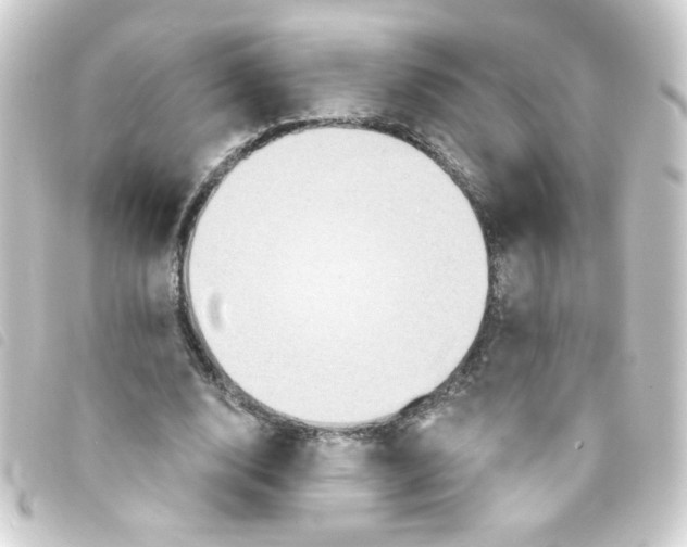 X0000093250632200710241315