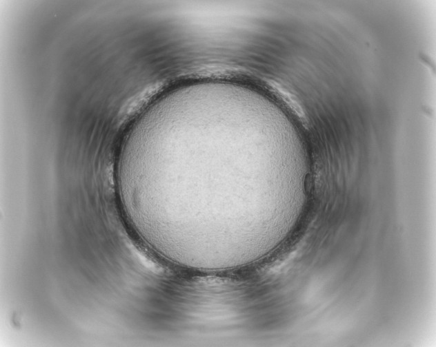 X0000093250633200710241315