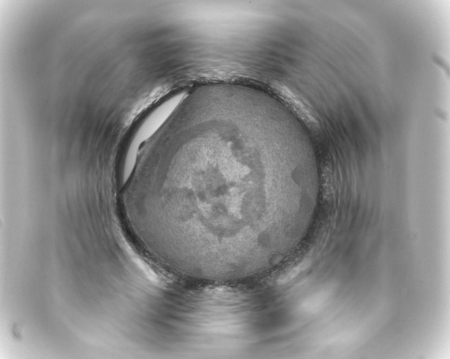 X0000093250634200710241315