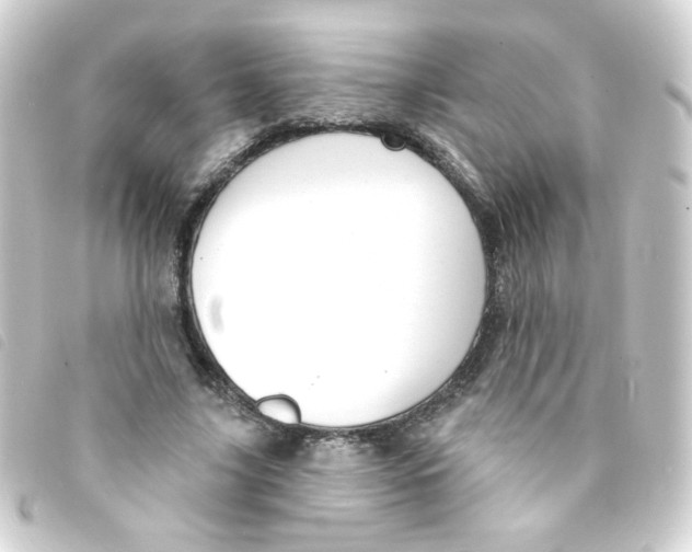 X0000093250635200710241315