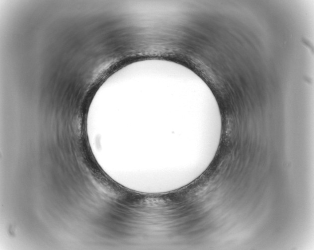 X0000093250636200710241315