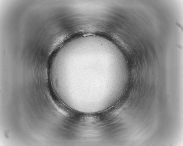 X0000093250638200710241315