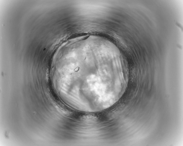 X0000093250644200710241315