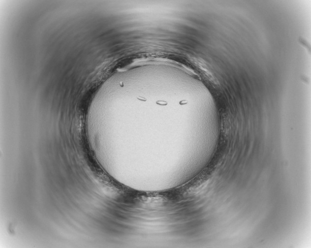X0000093250645200710241315