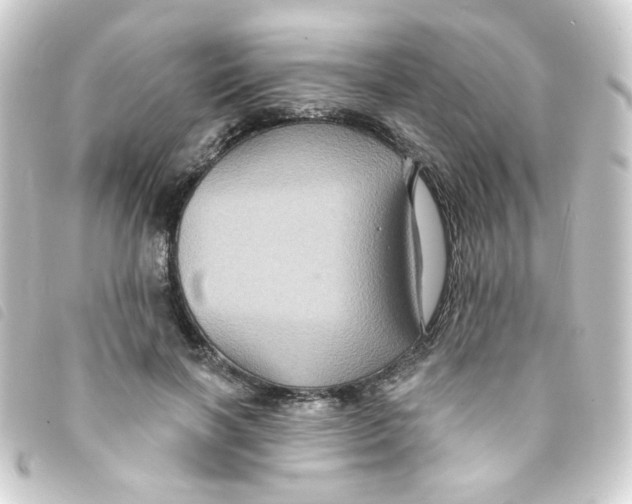 X0000093250646200710241315