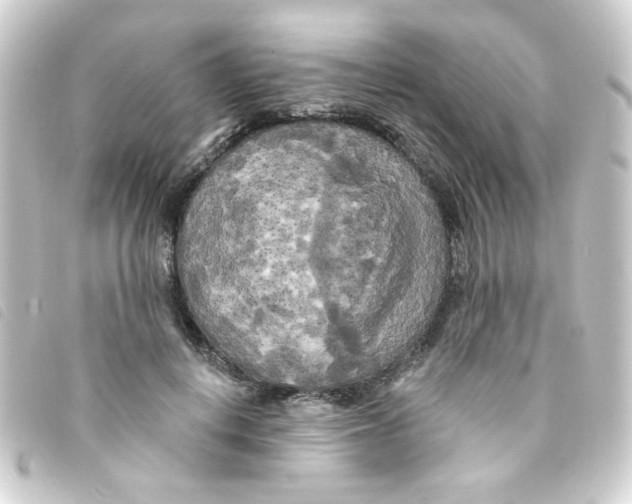 X0000093250648200710241315