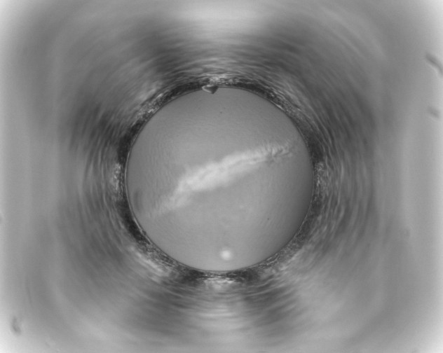 X0000093250650200710241315
