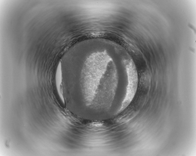 X0000093250651200710241315