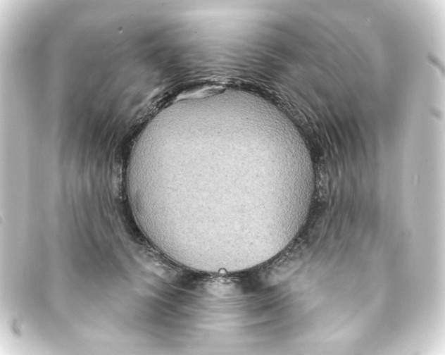 X0000093250656200710241315