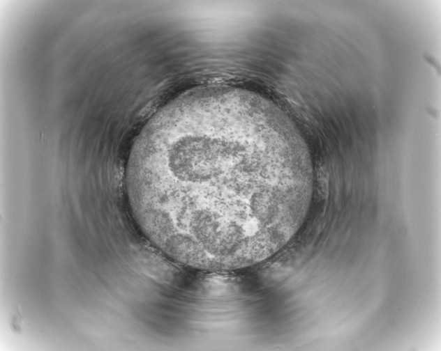 X0000093250657200710241315