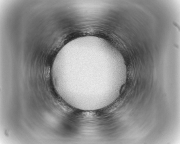 X0000093250660200710241315