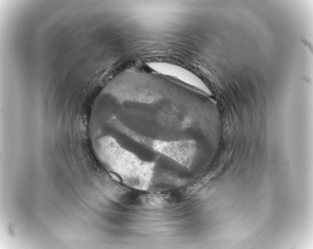 X0000093250661200710241315