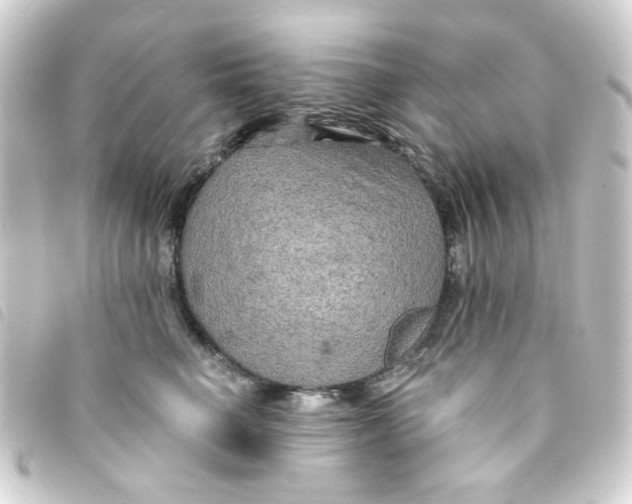 X0000093250662200710241315