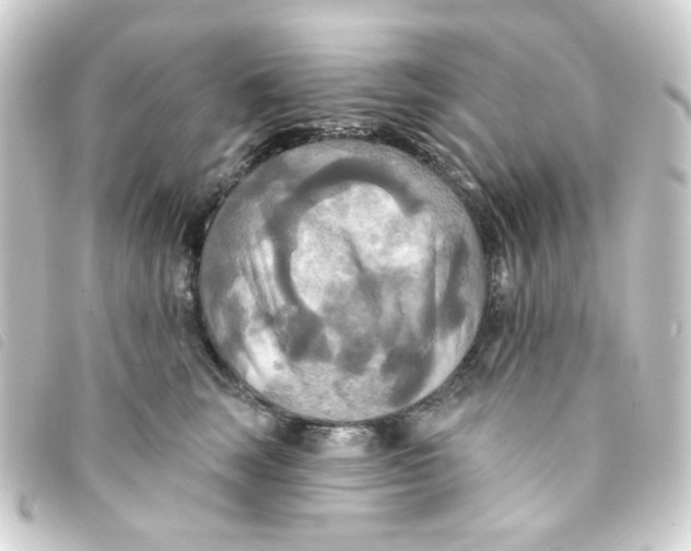 X0000093250663200710241315