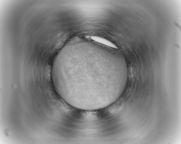 X0000093250664200710241315