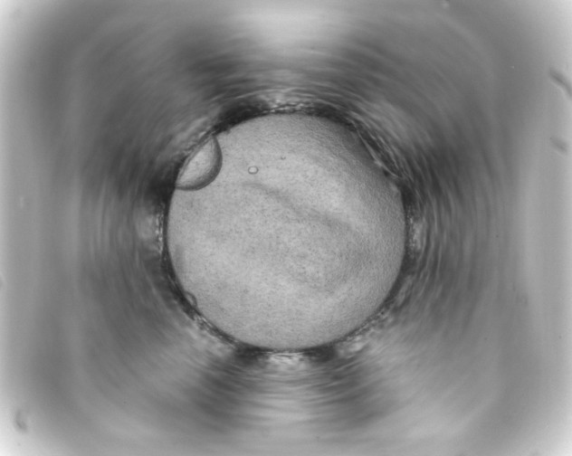 X0000093250666200710241315
