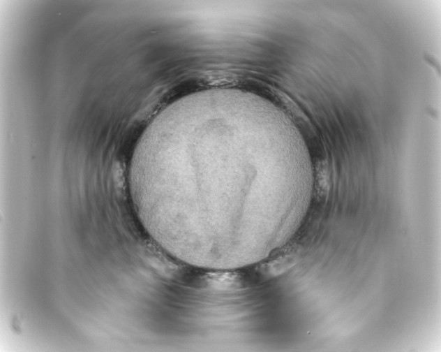 X0000093250667200710241315