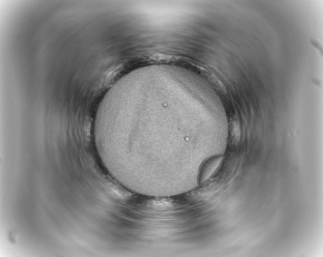 X0000093250668200710241315