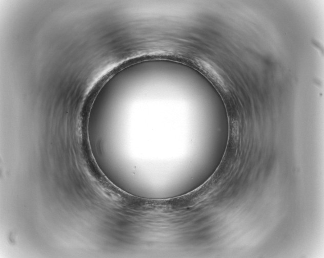 X0000093250676200710241315