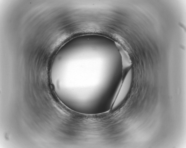 X0000093250677200710241315