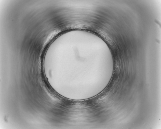 X0000093250678200710241315