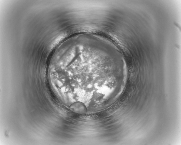 X0000093250679200710241315