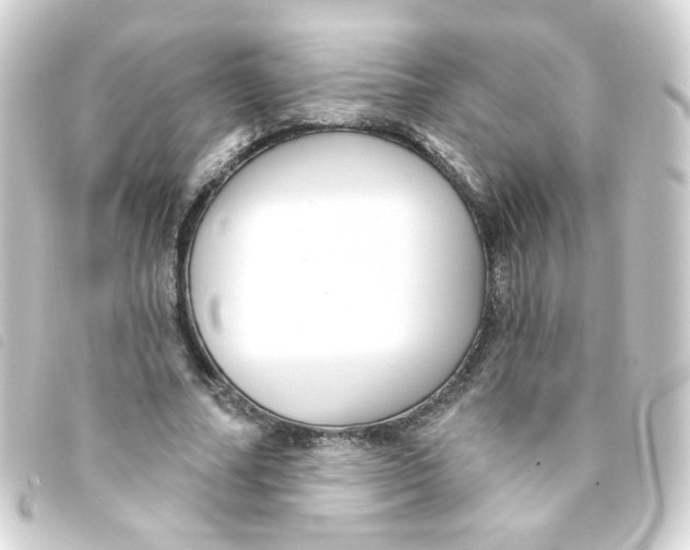 X0000093250682200710241315