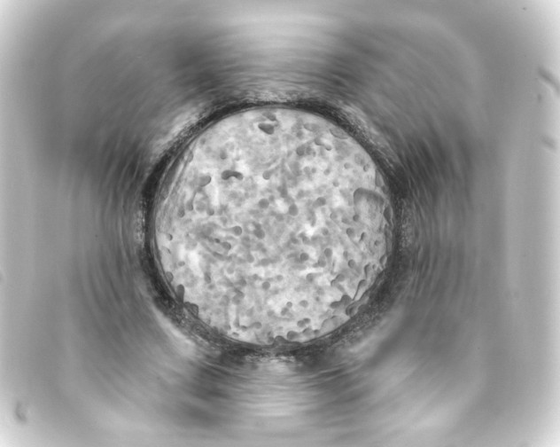 X0000093250683200710241315