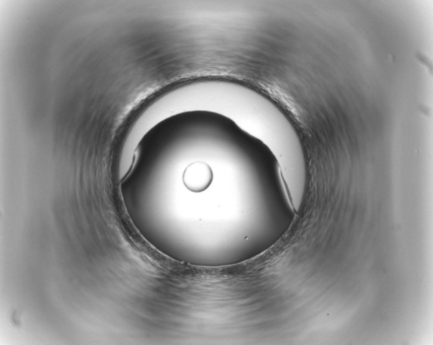 X0000093250684200710241315