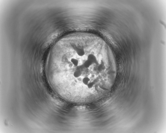 X0000093250687200710241315