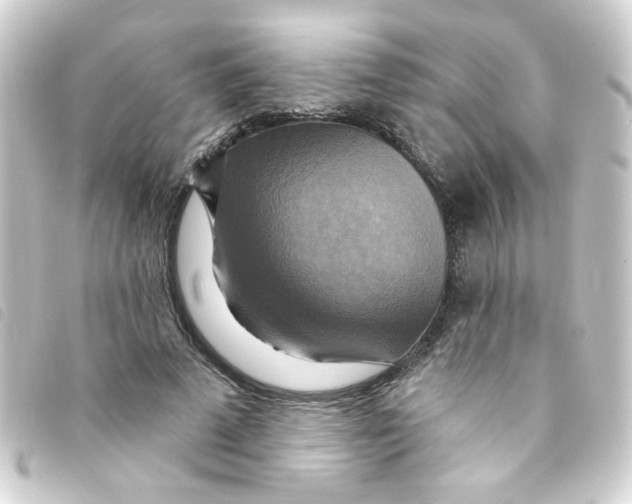 X0000093250689200710241315