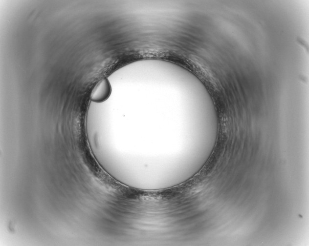 X0000093250690200710241315