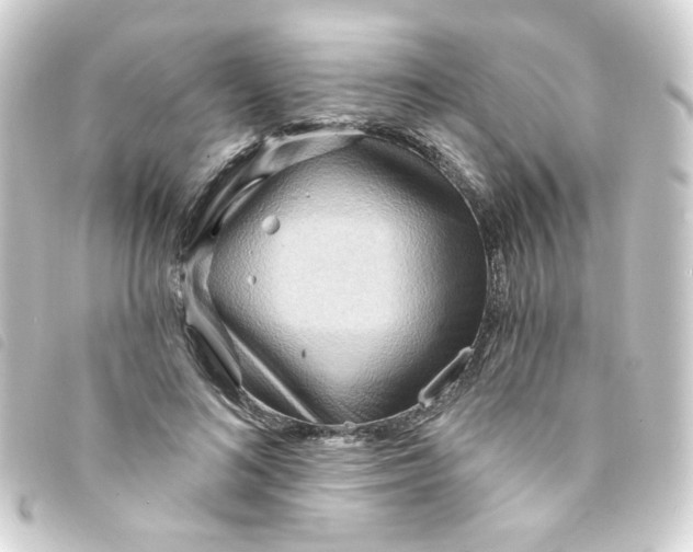 X0000093250692200710241315