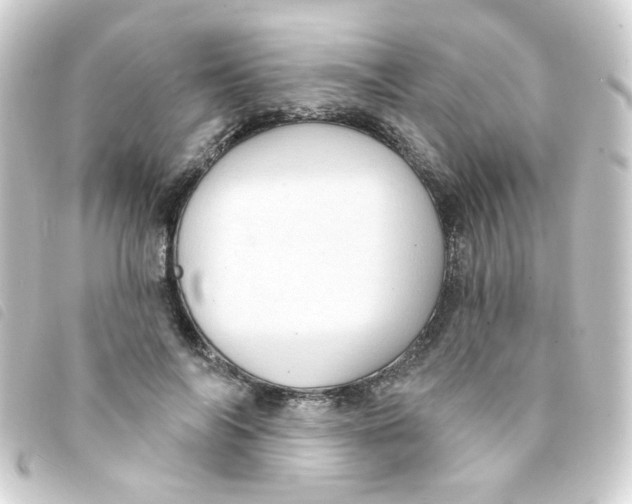 X0000093250694200710241315