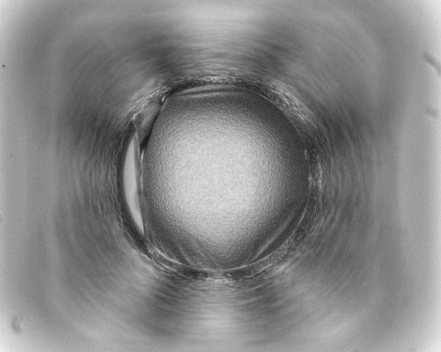 X0000093250696200710241315