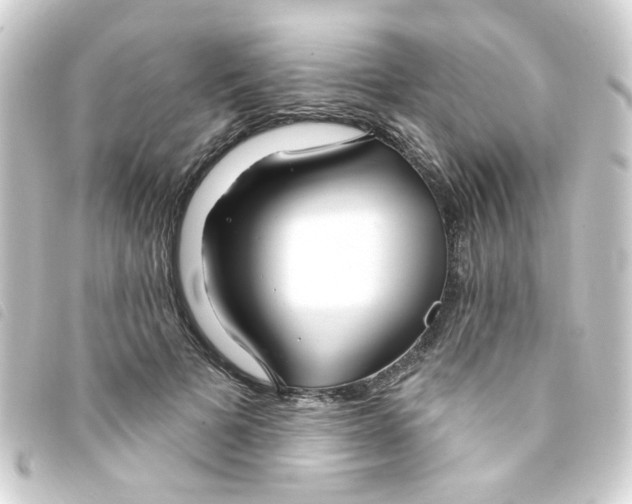 X0000093250697200710241315