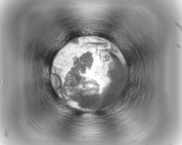 X0000093250699200710241315