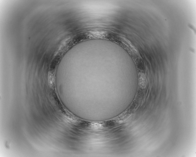 X0000093250701200710241314