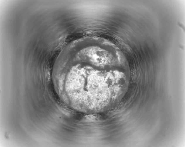 X0000093250703200710241314